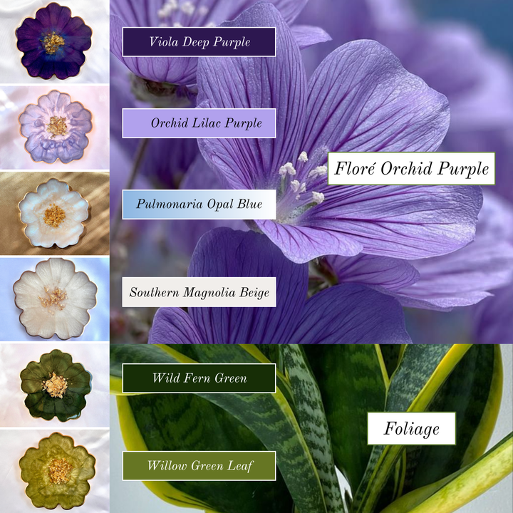 Floré Orchid Collection