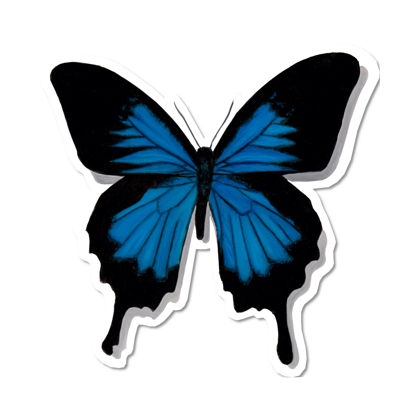 "Papilio Ulysses" Vinyl Sticker