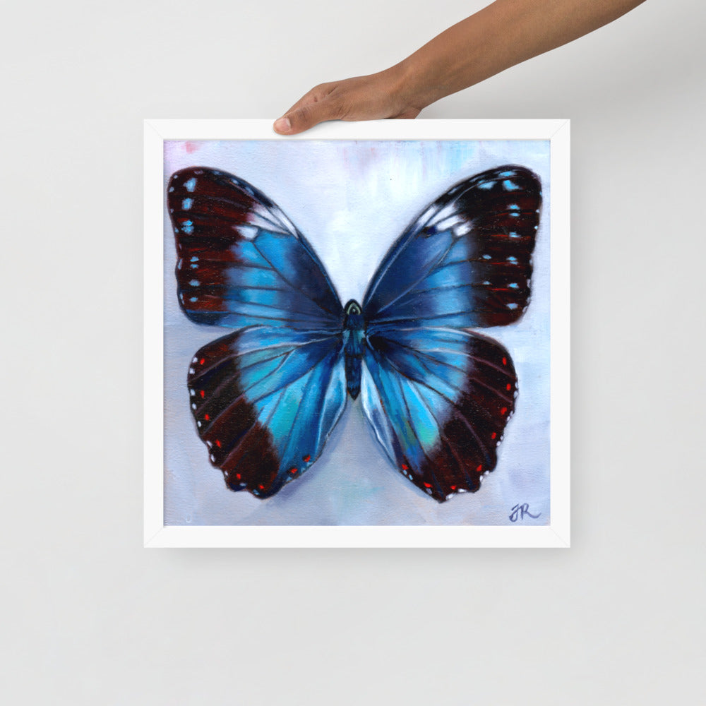 "Blue Morpho" Framed Poster Print